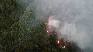 Incendios en Chubut: el fuego de Los Alerces continúa activo y ya quemó casi 8.000 hectáreas