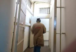 Más de 50 detenidos en tres países por la megacausa Lava Jato