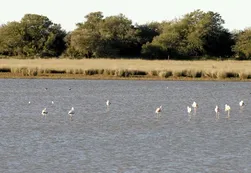 Humedales, la próxima frontera
