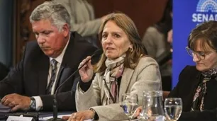 Zona Frías: LLA logró dictamen del Senado para eliminar descuentos en facturas de gas