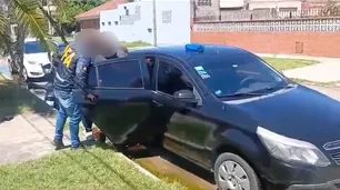 Detuvieron al chofer acusado de atropellar y matar a un perro tras la denuncia de Javier Milei en redes