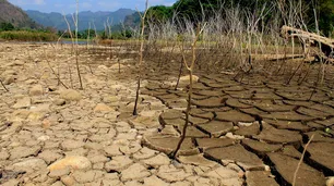 Maristella Svampa y Enrique Viale: "Es necesario un pacto ecosocial"