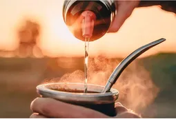 Los dos beneficios ocultos de la yerba mate