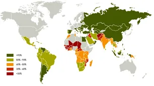 Día Internacional de la Alfabetización: una deuda pendiente en un mundo paralizado