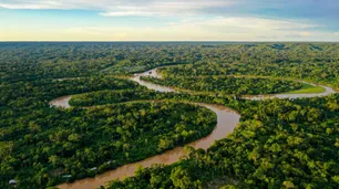 El Amazonas registró la mayor reducción de deforestación durante el año 2023