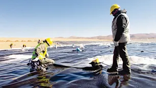 Actividad económica: los sectores ganadores y perdedores en 2025