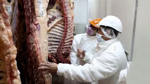 Agricultura dice que no suspenderán las exportaciones de carne mientras negocian precios