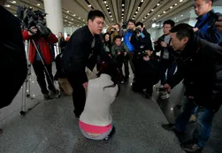 Desapareció un avión de Malasia con 239 personas a bordo