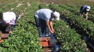 Para Eduardo Buzzi, “Se aproxima una crisis para los productores agropecuarios”