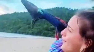 Video: se relajaban en la playa y las sorprendió un casuario, el ave más peligrosa del mundo