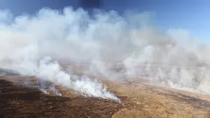 Se suman brigadistas y recursos para combatir focos de incendios en el Delta Paraná