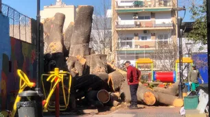 Polémica por la tala de un árbol en una plaza de Villa Crespo