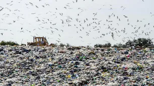 Para el World Wildlife Fund limpiar el planeta crearía 39 millones de empleos