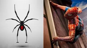 Un niño se dejó picar por una araña porque "quería ser Spider-man" y quedó en terapia intensiva