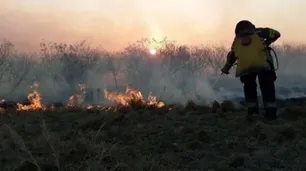 Incendios en Corrientes: el drama de los productores en primera persona
