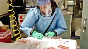 Nanopartículas de plata, un aliado silencioso