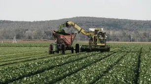 El agro apoyó al gobierno de Milei por frenar subas de derechos de exportación al campo y la industria