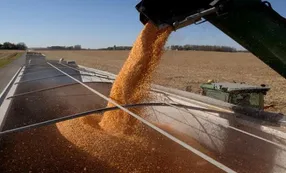 Proyectan récords de área sembrada de cultivos y producción en Argentina