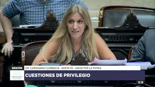 "Dopado", "gato" y "loca": graves insultos y acusaciones de una diputada kirchnerista en la sesión