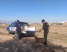 La Policía secuestró dos perros pitbull que mataron a un caniche en Córdoba