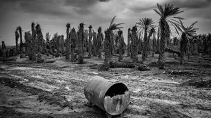Los peligros de subestimar los riesgos del cambio climático
