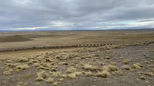 Otro revés judicial para Milei: la Justicia suspendió la derogación de la Ley de Tierras