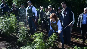 Patricia Bullrich viajó a la capital narco sudamericana y cortó plantas de marihuana a machetazos