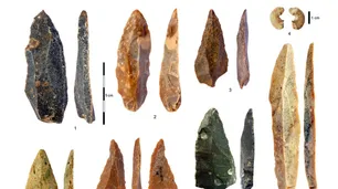 Descubren en Bulgaria una muela humana de 45 mil años