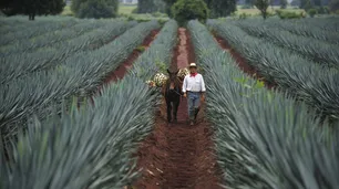 La producción industrial mexicana tuvo la peor caída en un siglo