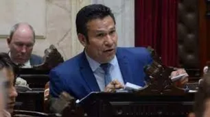 Osvaldo Llancafilo: "Hay cuestiones para revisar pero vamos a apoyar la Ley Bases"