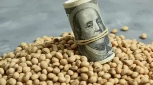 Por la crisis cambiaria, el campo no quiere vender la soja con el dólar a $300