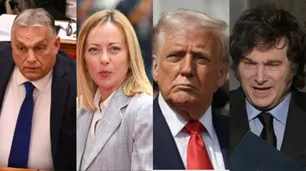 El enemigo como remedio