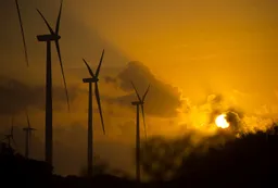 Entre lluvias y sequías, el algodón de Estados Unidos no levanta cabeza