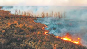 Sigue el fuego en el delta del Paraná y el humo se sintió en Buenos Aires