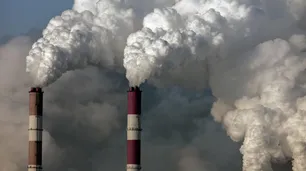 El cuidado del ambiente sigue sin formar parte de la agenda política argentina