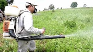 Tierra envenenada en Pergamino: siete productores y dos funcionarios enfrentan un juicio histórico por agroquímicos