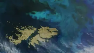 RDI: Cómo es la relación “tóxica” que tuvieron Argentina y Estados Unidos con respecto a las Islas Malvinas