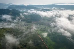 Brasil y Colombia frenan la deforestación en contra de la tendencia mundial