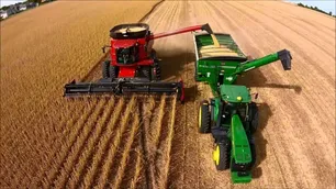 ¿Por qué se desplomaron 30% las liquidaciones del campo en febrero 2026 frente a enero?