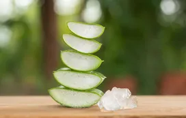 Alzheimer: científicos estudian el potencial del aloe vera como nueva estrategia terapéutica