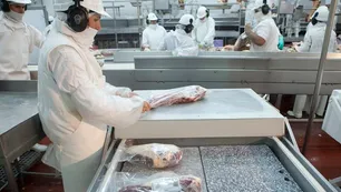 El Gobierno presentó un nuevo acuerdo de carne a precios populares y se reabren las exportaciones