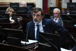 Qué es la esclerosis lateral amiotrófica, la enfermedad que padece Esteban Bullrich