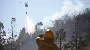 Incendios en Chubut: el fuego ya consumió más de 2.000 hectáreas en el Parque Nacional Los Alerces