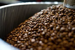 Un fondo canadiense financia la expansión de café brasileño