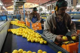 "Los que critican este decreto defienden la industria del juicio", dice el Gobierno