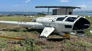 Un pingüino, "responsable" de la caída de un helicóptero Robinson R44 en las Georgias