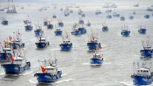 Soberanía marítima en peligro: China construyó la flota pesquera más grande del mundo