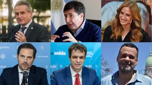 Quiénes son los candidatos que renuncian a sus cargos