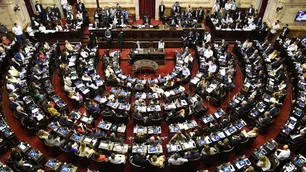 Diputados debate el proyecto de control y prevención del Dengue
