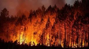 “No hay política ni gestión nacional para combatir incendios”